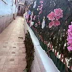 Home Diamond